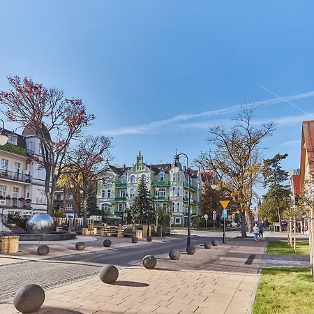 - Kormoran * Świnoujście